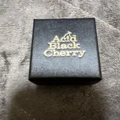 Acid Black Cherry オリジナルマルチリング yasu 指輪