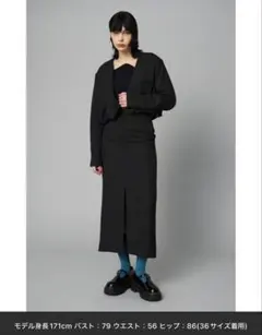 HeRIN.CYE Tight skirt タイトスカート 36サイズのサムネイル