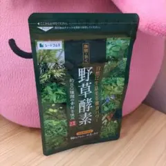 Item thumbnail for item 6a0d5dea-2f0b-4a36-b124-c15182839072