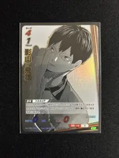 ハイキュー バボカ 最強の挑戦者 影山飛雄 SP 1枚