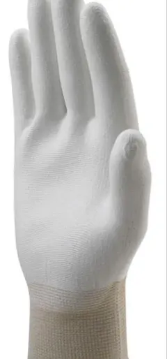 Item thumbnail for item 0bb1844e-3855-448b-8ff3-30002aa0b645