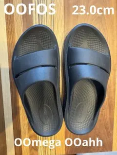 ⭐︎室内使用のみ⭐︎ウーフォス　OOmega OOahh ウーメガウーアー　23cm