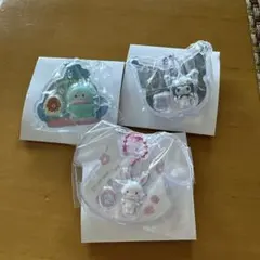 サンリオキャラクターズ　パッケージチャーム