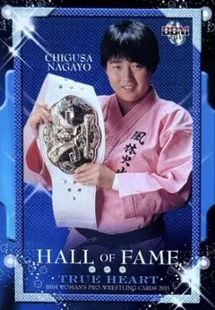 Item thumbnail for item 8d2509ae-077b-4ebc-bf95-09eec296865b