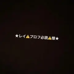 ★レイ｜⚠️プロフ必読⚠️様専用★