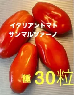 Yuki☆様 リクエスト 2点 まとめ商品