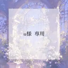 プレインシート　専用