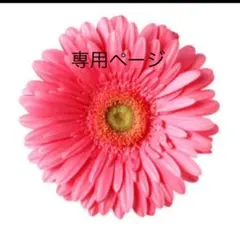 koko様専用