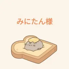 みにたん様❤専用