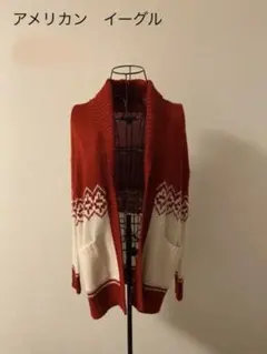アメリカンイーグルアウトフィッターズ　ニット　セーター　カーディガン