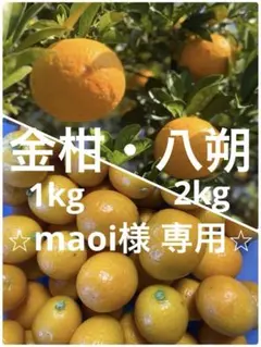 鹿児島特産品）Jyumo様専用 熟成サワーポメロ 箱満杯詰 いちき串木野市