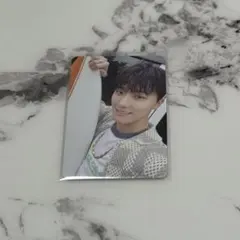 セブチ　ディノ