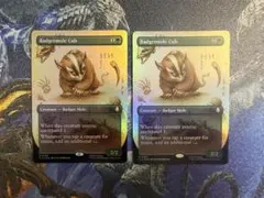 【最安値】MTG　TLA　アナグマモグラの仔　拡張枠　英語版　foil　1枚 最安値】MTG TLA アナグマモグラの仔 拡張枠 英語版 foil 2枚 - メルカリ