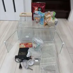 Item thumbnail for item 839a256c-f288-4a9d-bf28-1306b4d5dcdb