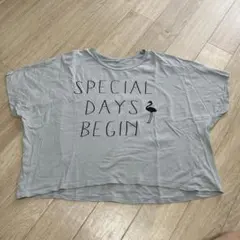 Item thumbnail for item 726d44e7-b160-46e8-925e-64f0bb36f53a