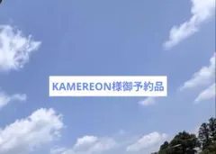 KAMEREON様御予約品