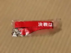 仮面ライダーエグゼイド 聖都大学附属病院 ネックストラップ レッド