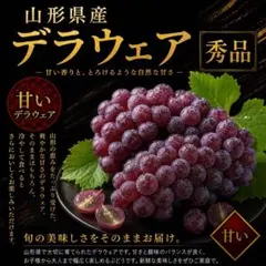 小さい果実、大きな甘さ！！商標付きブランド！！デラウェア！！秀品！！山形県産！！のサムネイル