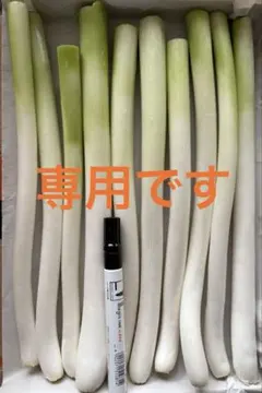 ☆ チョコミント様☆専用です