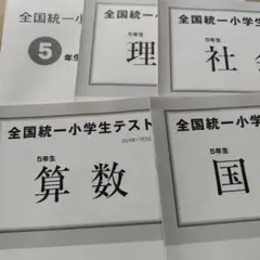 全国統一小学生テスト　5年生　2024年11月　問題・解答解説　未使用美品