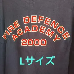 FLUIT OF THE LOOM tシャツLサイズ