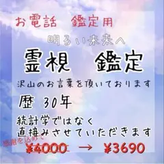 電話　本格霊視　占い　限定価格