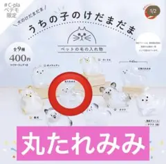 正規品　うちの子のけだまだま　犬　丸たれみみ　ペテモ