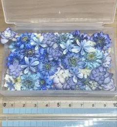 ハンドメイド 花材 ドライフラワー 小花 紫陽花 35枚+α ③ - メルカリ