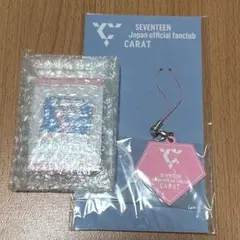 SEVENTEEN FC入会特典　継続特典 ピンバッジ　ラバーチャーム