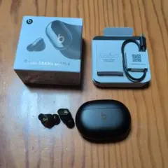 Beats Studio Buds + 本体 ワイヤレスイヤホンのサムネイル