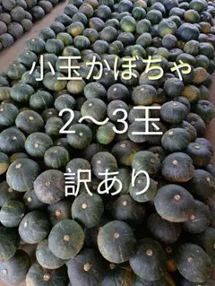 訳あり 小玉かぼちゃ 2〜3玉のサムネイル