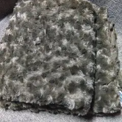 Item thumbnail for item 0e9c0d4c-453e-48db-83af-5ed675a4ab14