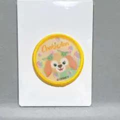 ４種ダッフィーフレンズ20周年カラフルハピネスワッペンジェラトーニクッキーアン