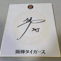 Item thumbnail for item 50fe3d63-fad6-490c-99e1-807aa87925e8