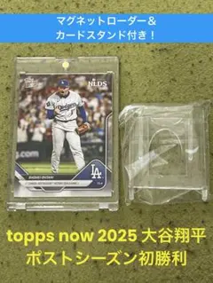 Item thumbnail for item 0c6f73a7-511c-4dfe-9182-81a508add38b