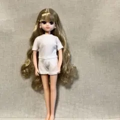 2026年最新】リカちゃんキャッスルS月間ドールコレクションの人気