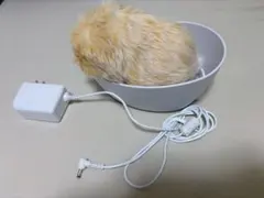 モフリン 箱無しのサムネイル