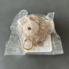 モコモカ クマ ぬいぐるみマスコット ベージュ　未使用