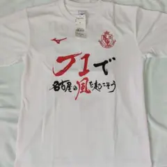 PENALTY ファジアーノ岡山 J1昇格記念Tシャツ XL - メルカリ