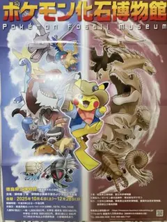 ポケモン化石博物館 特大 大型 ポスター ポケモン化石博物館」 （大分県立美術館） ｜Tokyo Art Beat