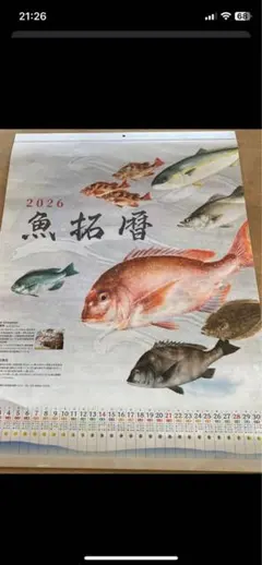 ダイワルアー・フライ 昭和57年度版 白石勝彦 西山徹 編集 2025年最新釣り カレンダーの人気アイテム - メルカリ