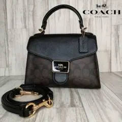 65 COACH コーチ　シグネチャー　2WAY ハンドバッグ　ショルダーバッグ