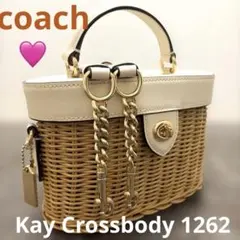 2026年最新】coach バニティバッグの人気アイテム - メルカリ