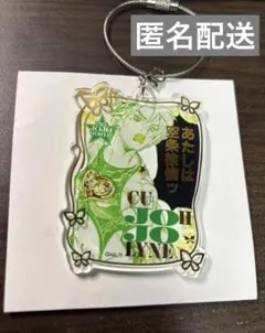 r*u様 ジョジョの奇妙な冒険　ジョジョワールド　徐倫　ワイヤーキーホルダー