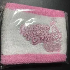 Amazing Travel DNA TRY AGAIN リストバンド