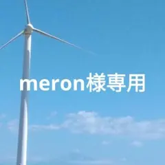 meron様専用◆利平栗蒸し羊羹2本(15日ご不在)