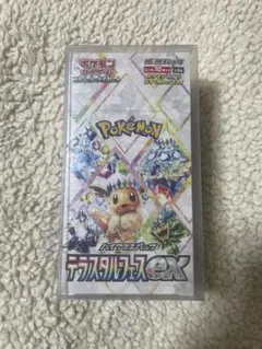 2026年最新】テラスタルフェスex boxの人気アイテム - メルカリ