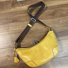 【良品】aniary アニアリ レザー 本革製 三日月型 ショルダーバッグ