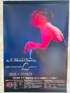 Acid Black Cherry L 非売品 販促用 ポスター