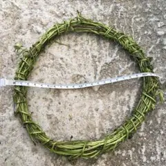あさがお　リース　⑦